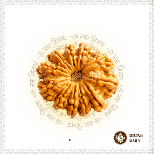 11 Mukhi Lab Tested Rudraksha